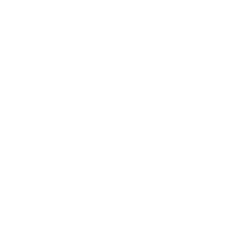 FLAG NOR FAIL