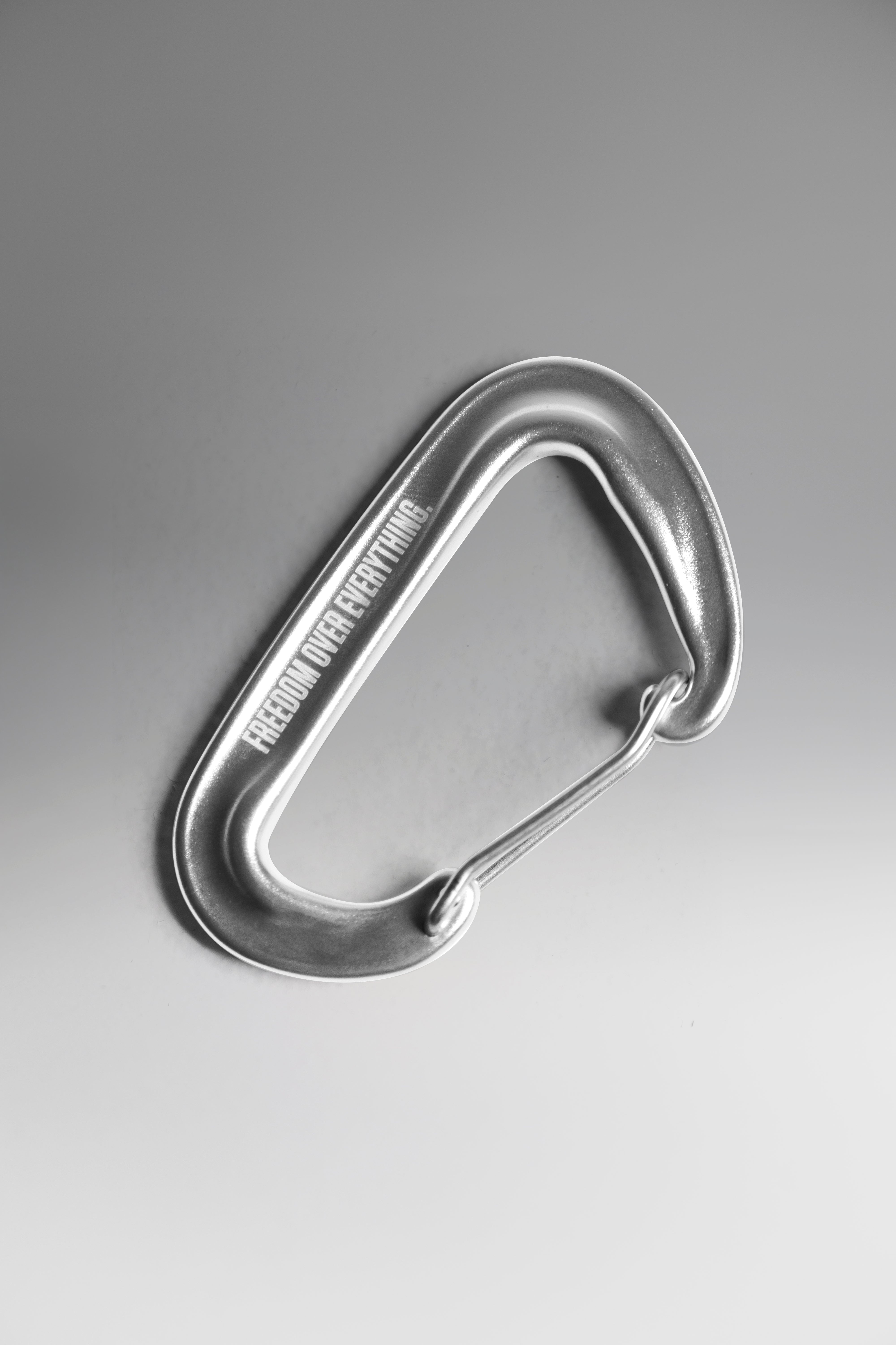 CARABINER - SILVER