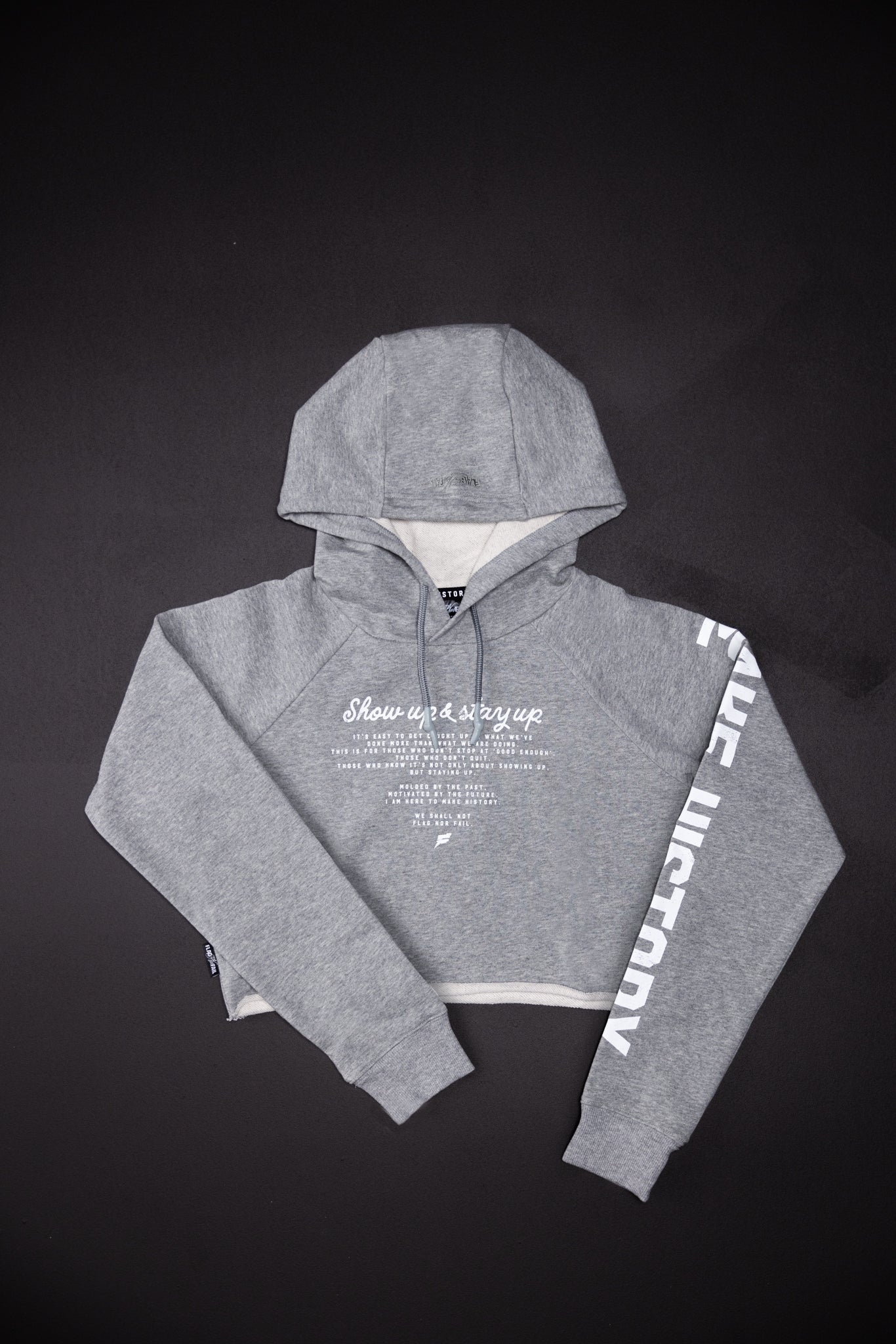 SUDADERA CON CAPUCHA MAKE HISTORY - GRIS